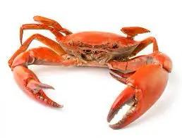 Crab - 3pcs (1kg)